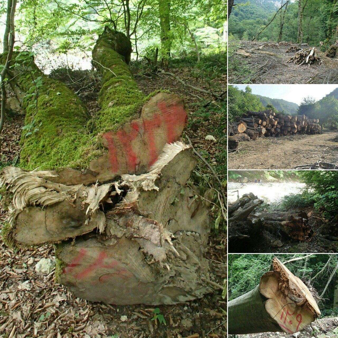 http://bloghnews.com/images/docs/000305/n00305032-t.jpg