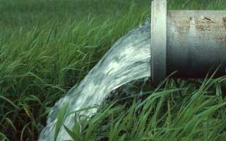 80 درصد منابع آبی مازندران در کشاورزی مصرف می‌شود