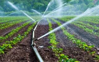 کاهش چشمگیر مصرف آب در مزارع زراعی و شالیزاری مازندران