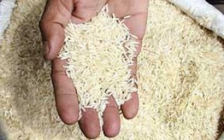 خرید تضمینی برنج با قیمت کیلویی ۹۱۰۰ تومان آغاز شد