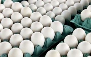 قیمت تخم‌مرغ به مرز تعادل رسید/ جریمه بیش از 3 میلیارد ریالی متخلفان صنفی در بابلسر