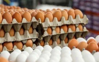 بازار تخم‌مرغ در حال حفظ ثبات کنونی است/ قیمت جوجه، بر قیمت مرغ اثرگذار نیست