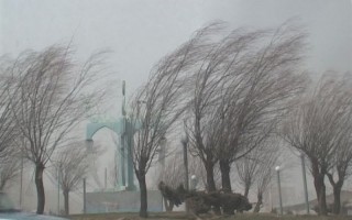 نگرانی کشاورزان از وزش باد شدید در مازندران/ تاکنون خسارتی اعلام نشد