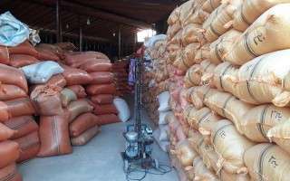 مسئولان خوب شعار می‌دهند اما عمل نمی‌کنند/ دپوی 40 درصد از برنج‌های سال گذشته در انبارهای مازندران