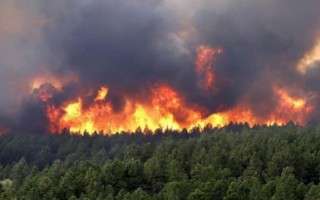 آتش‌سوزی در 150 هکتار از اراضی میانکاله