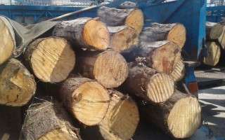 کشف 5 تن چوب آلات جنگلی قاچاق در ساری