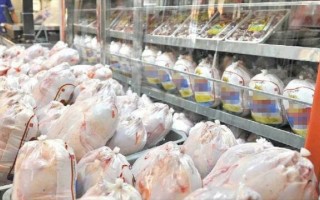 قیمت 11000 تومانی مرغ در بازار مازندران/پیش‌بینی افزایش قیمت مرغ در تابستان در پی کاهش جوجه‌ریزی