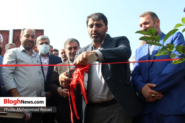 تصاویر/ افتتاح ۷۲ واحد گلخانه در قائم‌شهر  