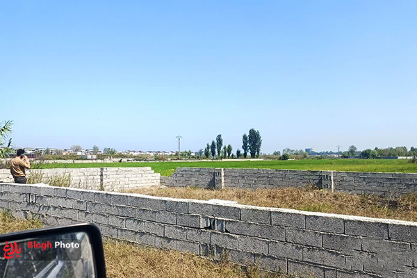 محاصره شالیزارهای محمودآباد در میان ساختوسازها